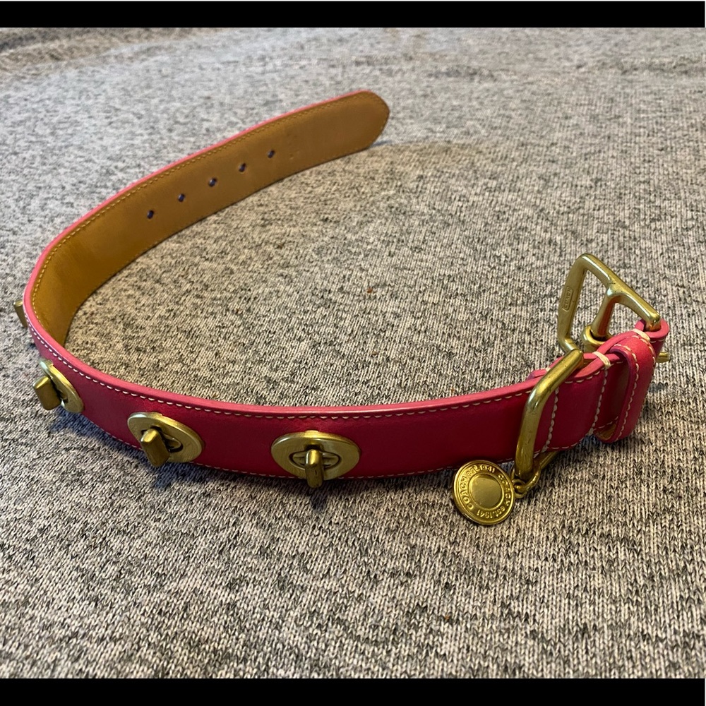 Coach Leather Collar, Medium, 20”